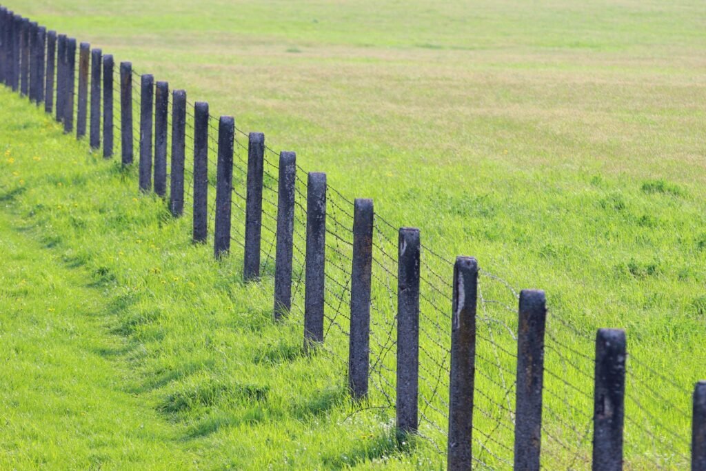 Line of demarcation e1675030193440