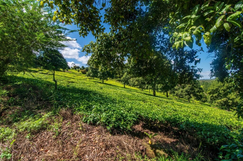 Imgi 10 709 44275af968dc4f16a6d0d7e962aeb0cc