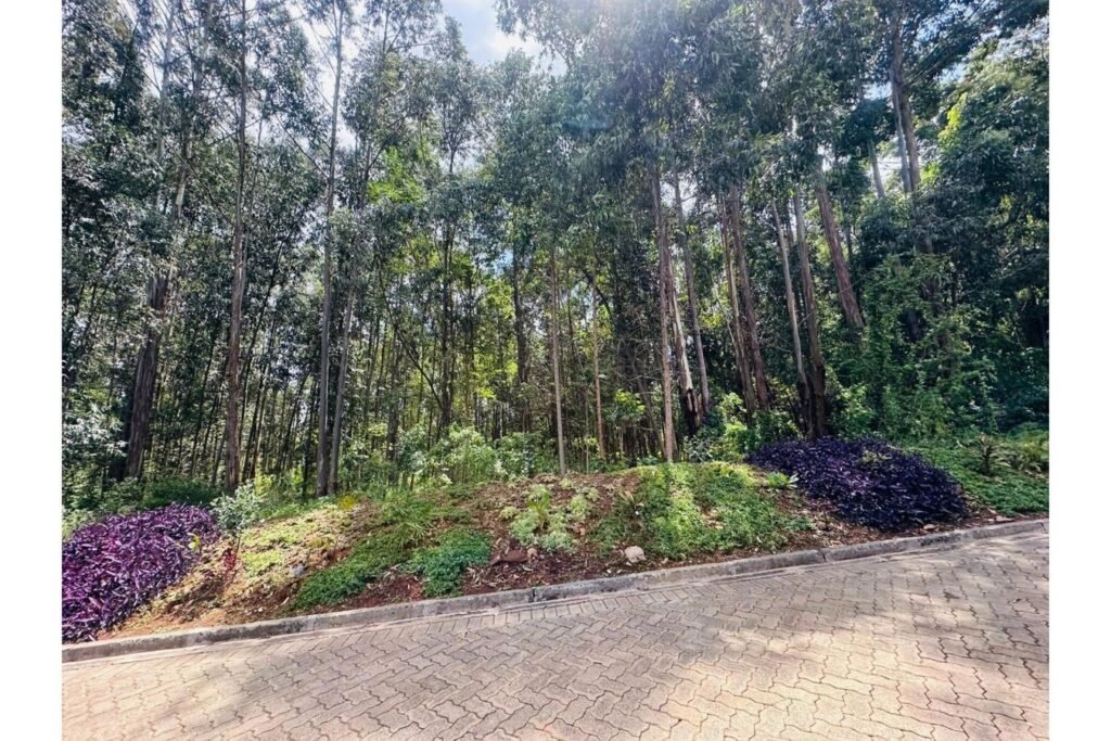 Imgi 10 709 f8c8a74957b54ee4bc844a8b6a038fa0 t w 1440 h