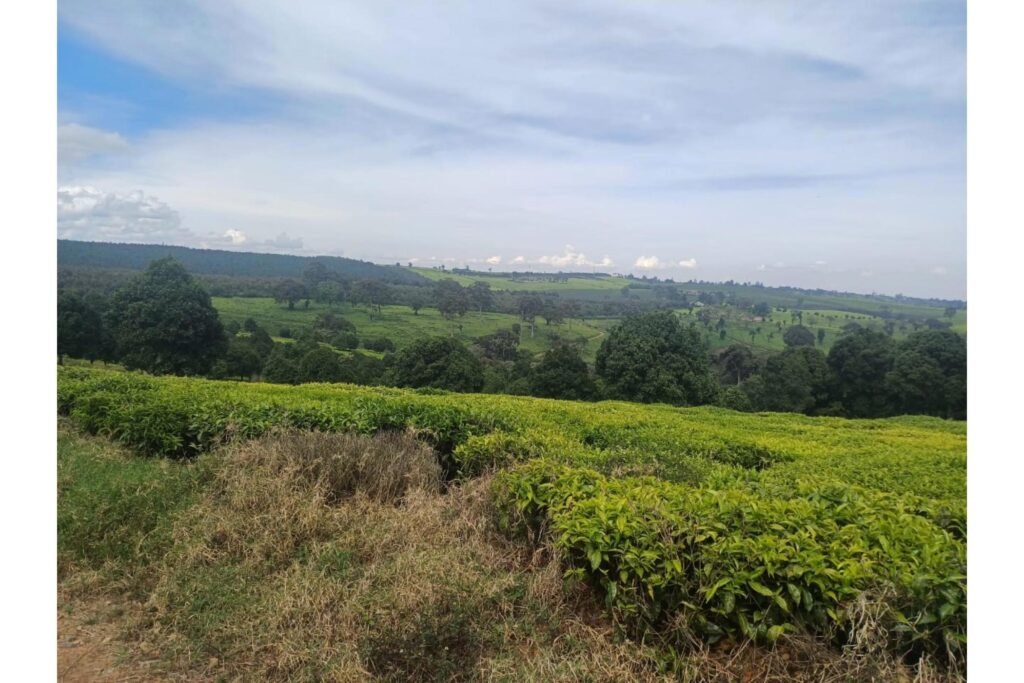 Imgi 11 709 7850db1e0d3740b3bf5d657ae00de325