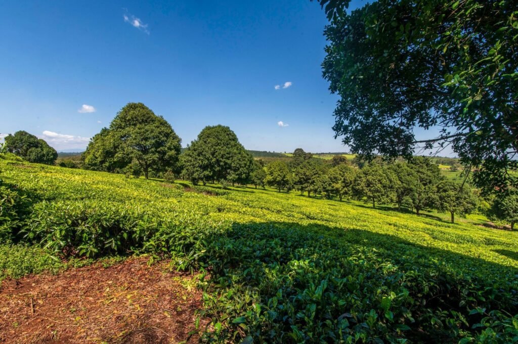 Imgi 11 709 97568d96a3b84e479571783e3503a4b9