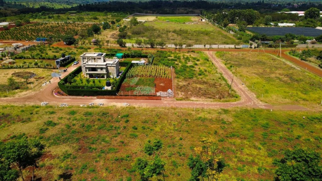 Imgi 11 709 dc442401dcce4972bd5f421775097e04