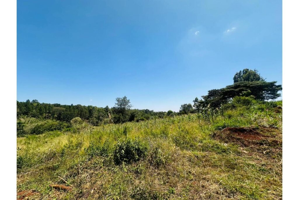 Imgi 11 709 f792e9fd386a4b56a3e6dc437e5302b4