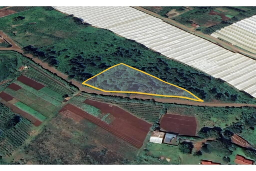 Imgi 12 709 9e70c1ee8d8e4d088bc843e2c2205349