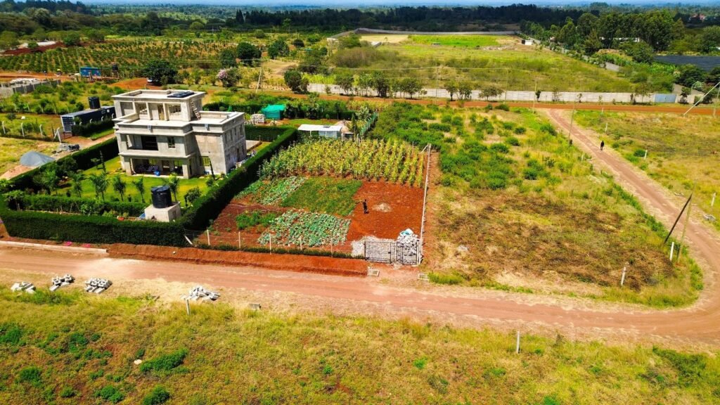 Imgi 13 709 1e68558e5c53401eb1d7ef5e9221f857