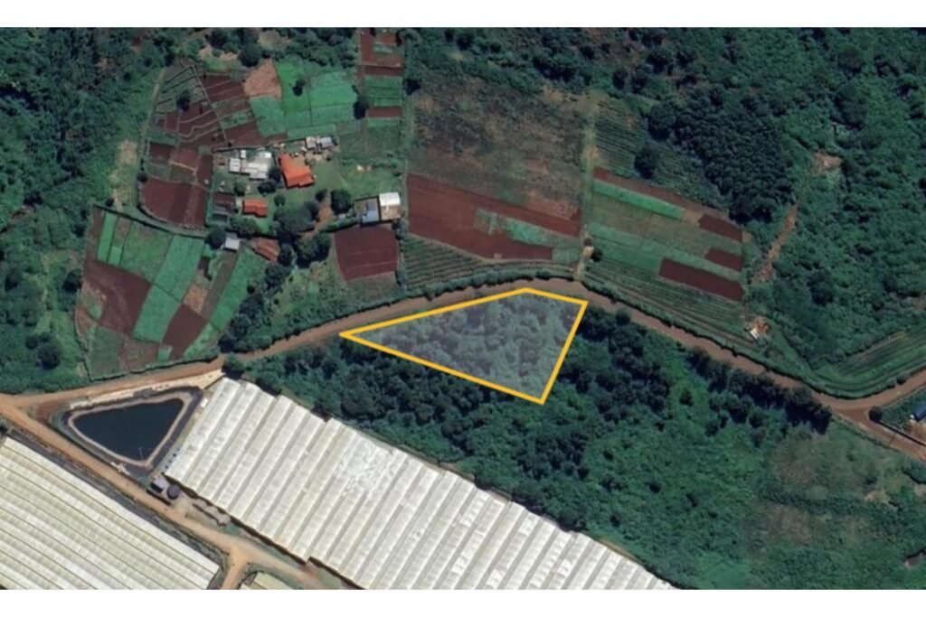 Imgi 13 709 66a84d17763f41bdacaedd82d8174f04