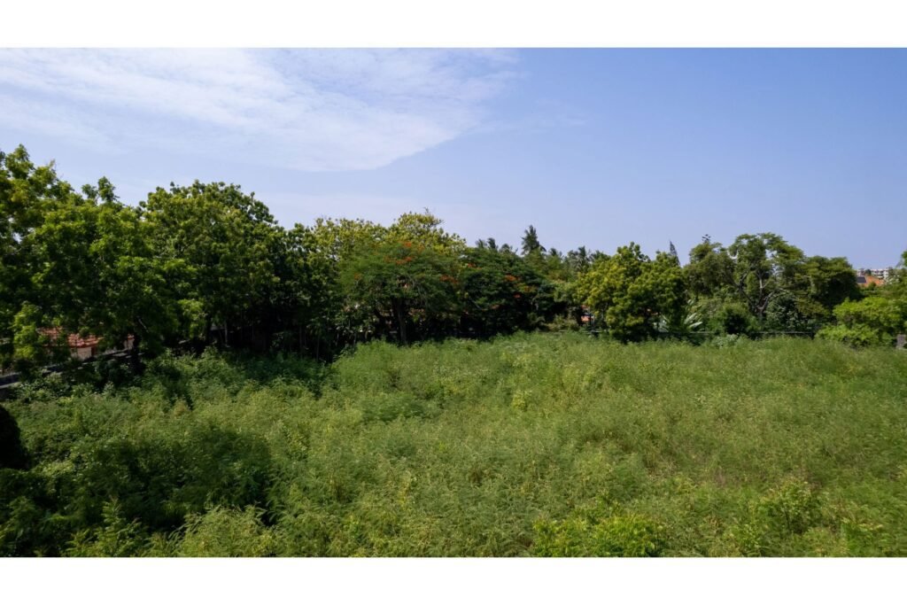 Imgi 14 709 321f606afa504416a30771a65ddeb54e