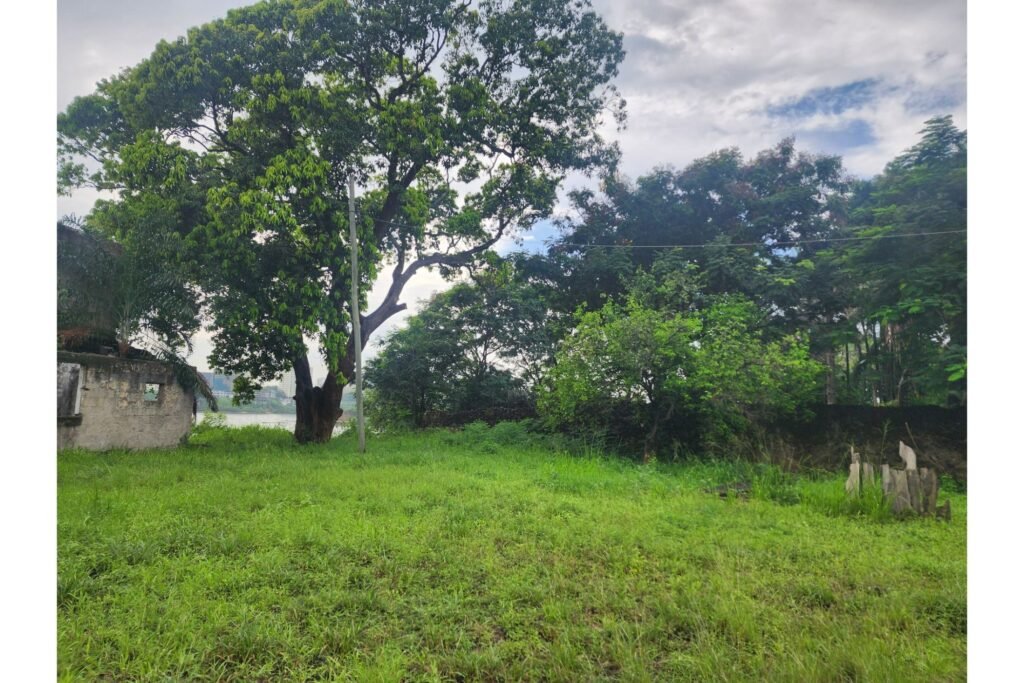 Imgi 14 709 5814f008c61f4b68a8296de258c0fada