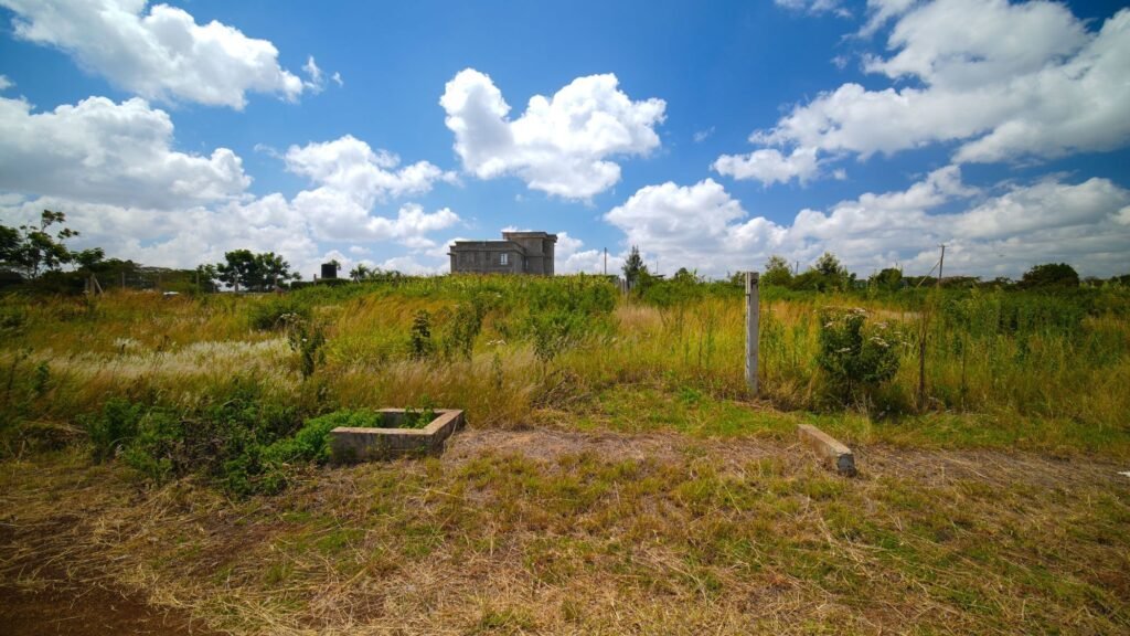 Imgi 15 709 5280119edff047f3b2d05c96e7882552