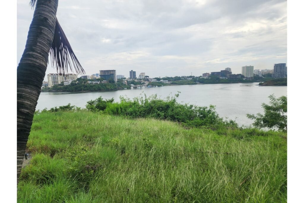 Imgi 15 709 5ca39d37a310416e9452338b02c2ada4