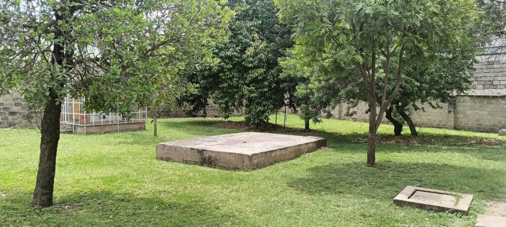 Imgi 15 709 d738bd257cf44037b0051a7ae4cf3c04