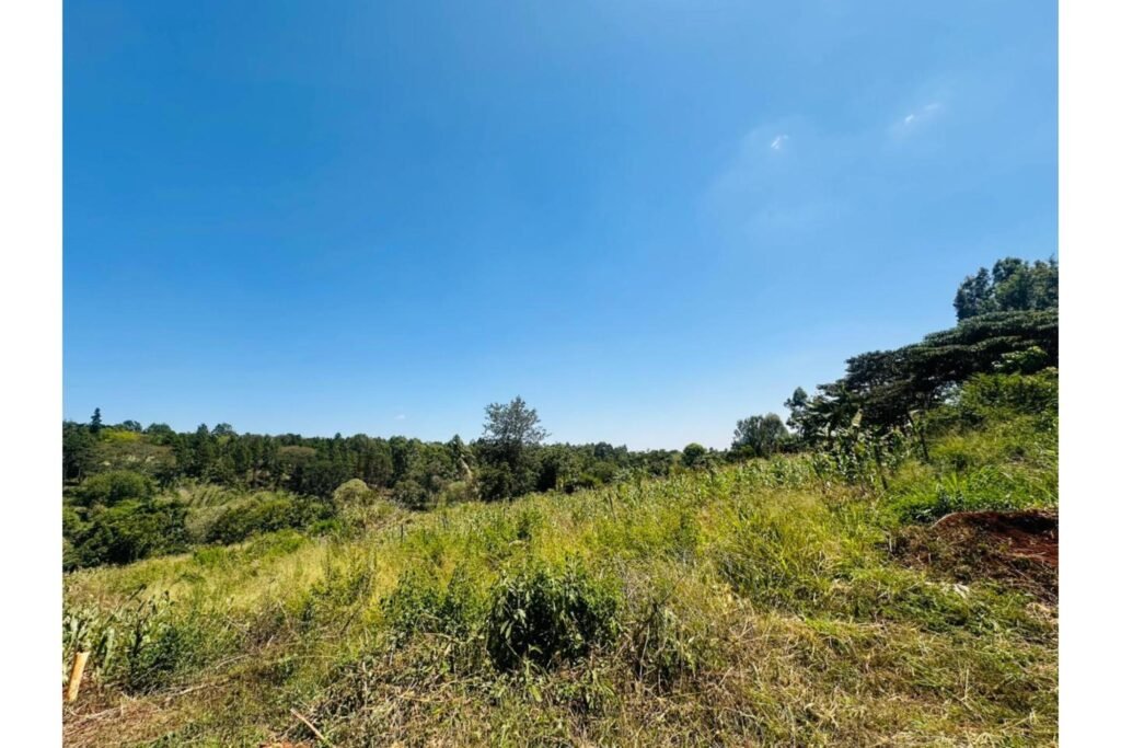 Imgi 15 709 e12bcdad60f541b6874574686dfb166a