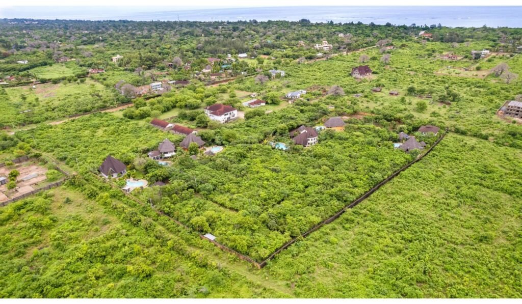 Imgi 16 709 151f1ab4006c4819b7953ee746c4ae26