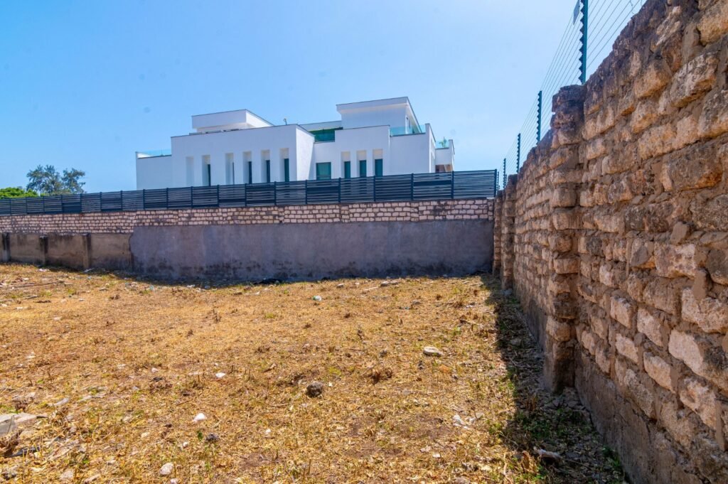 Imgi 16 709 ca1462c75fe443bdabe3ec66aa8e5366