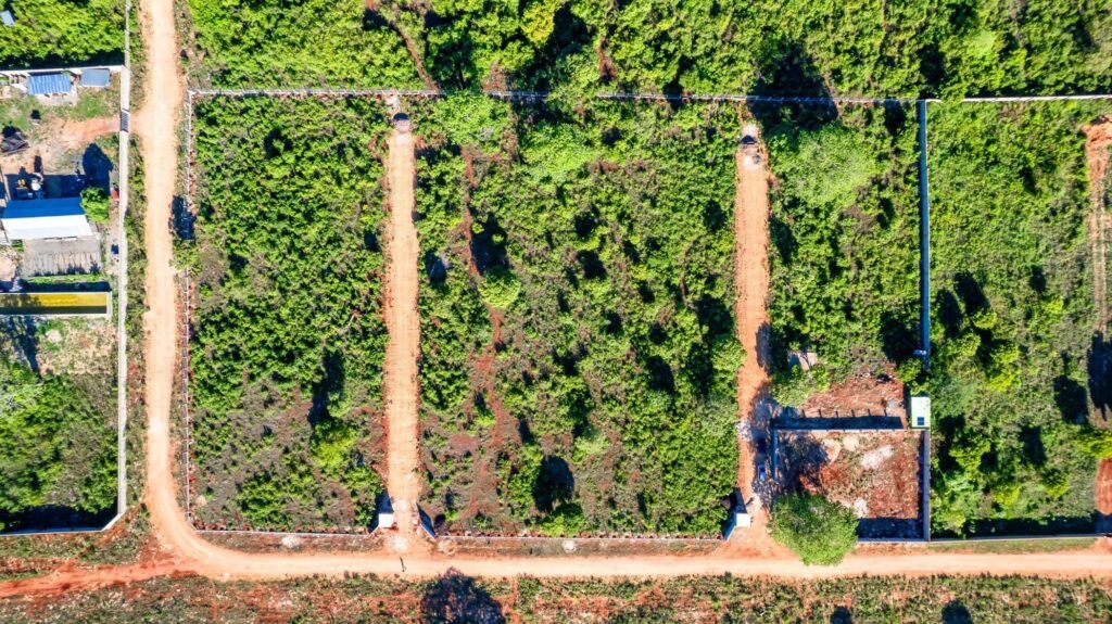 Imgi 16 709 d4aab0b53c044264ab64454768369880