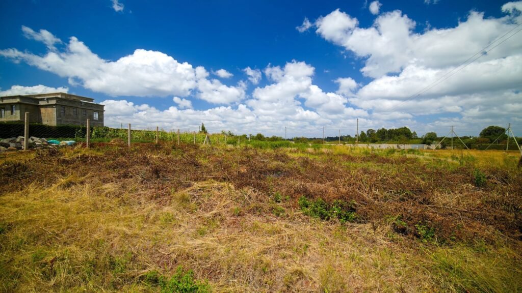 Imgi 17 709 74a2ad1647814f608bed71dc9d0efef4