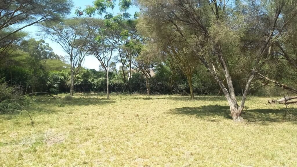 Imgi 17 709 ae02b4695309472bbca807e4b9a9f186