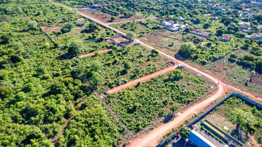 Imgi 18 709 7a346f20358541fbbfb1601c97298e93