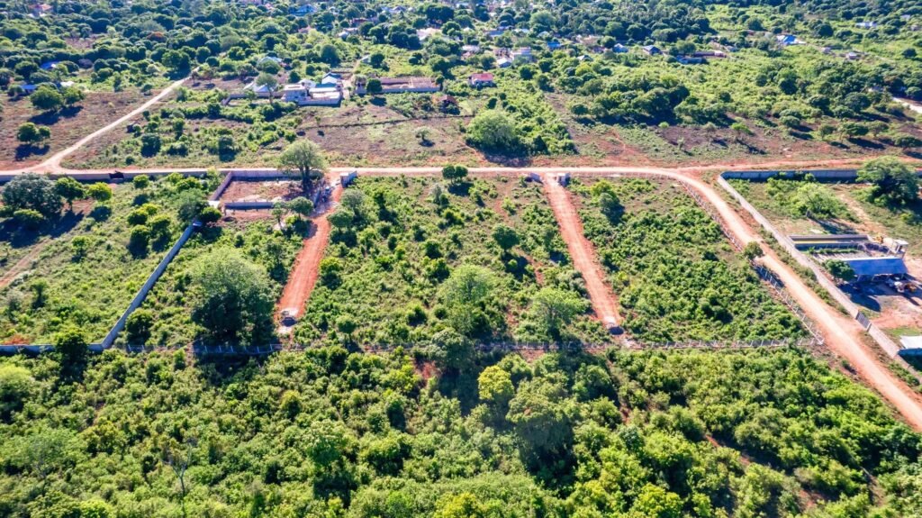 Imgi 19 709 b656a1e18b6843c680309dd00af9cb02