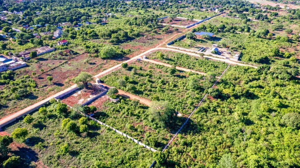 Imgi 20 709 02ab517c8e614db6b497f6ea69d265e8