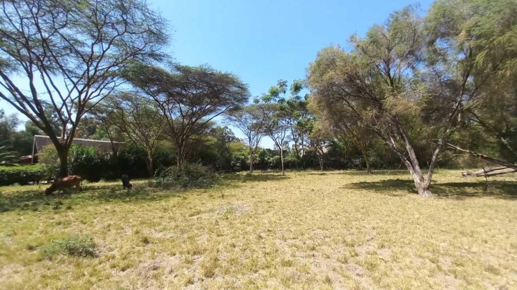 Imgi 20 709 533903fb156742848eda3d91d907fa84