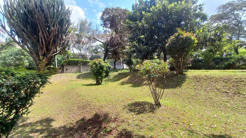 Imgi 21 709 0eff8a6dce404de08005d386bf10d25b