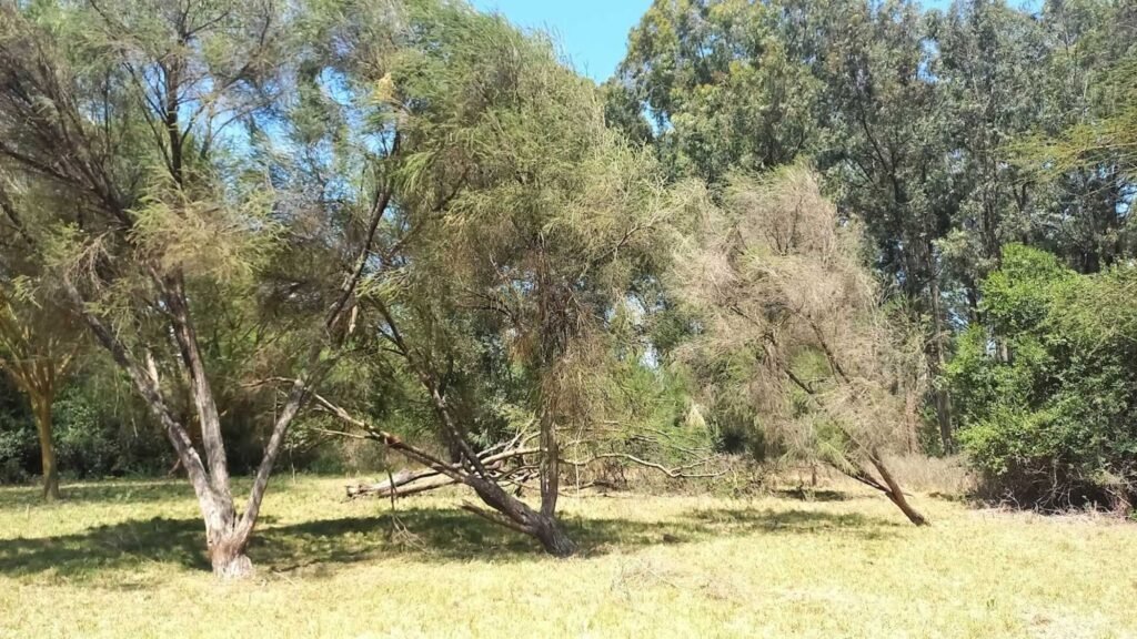 Imgi 21 709 6edcf9bde3b645889af2075c5a638f8f