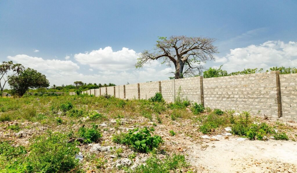 Imgi 22 709 65e987970a954a8785a14939c89a1ad5