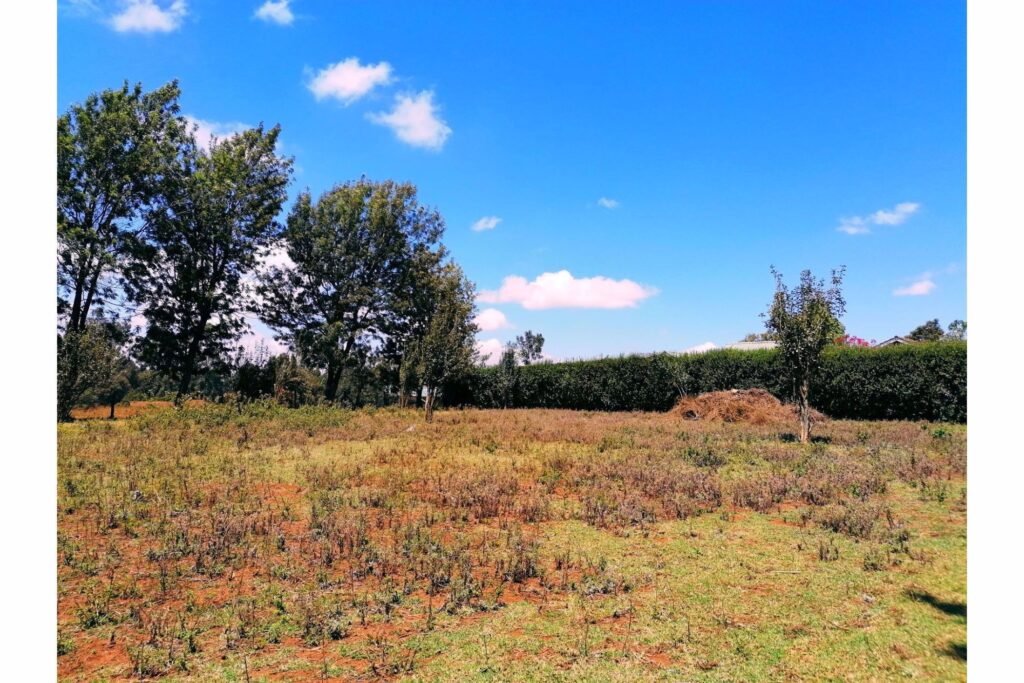 Imgi 22 709 a985e7fc616b4b1798e116355d9da445