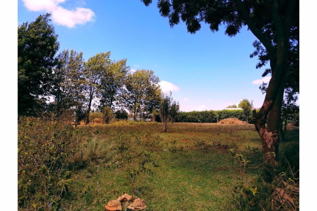 Imgi 23 709 087f37e962544d5fb16ee58ed1de973a