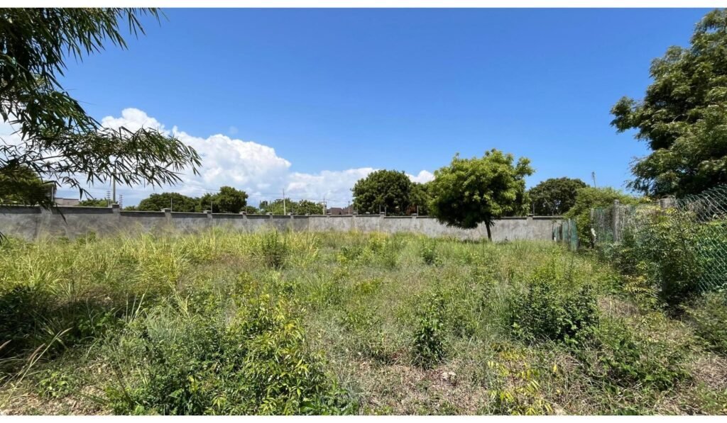 Imgi 23 709 1287577aac76417fb42e4c76813fba9b