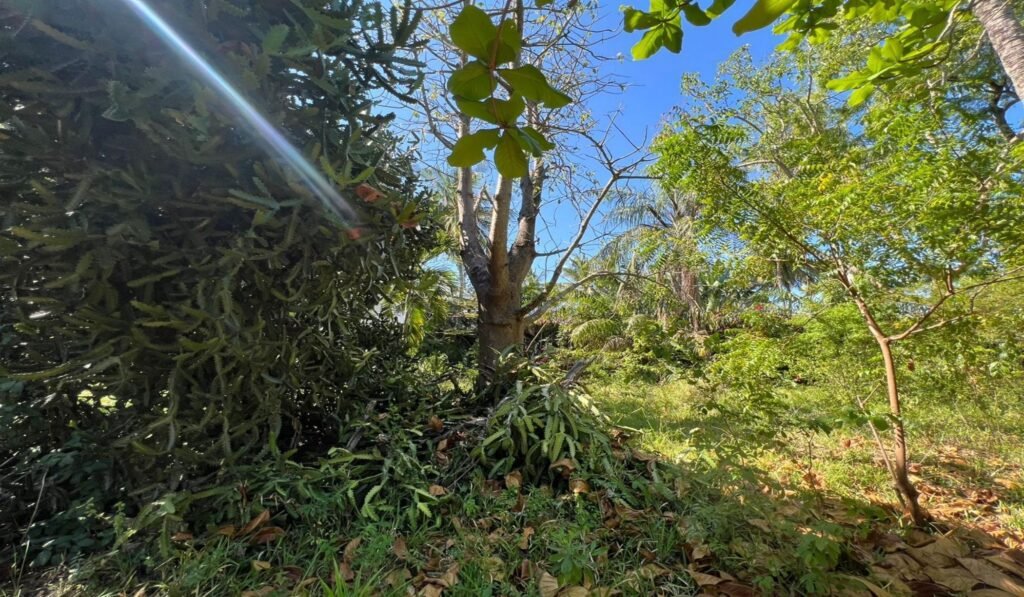 Imgi 24 709 37b973b674c94205800f60aa42a1f96d