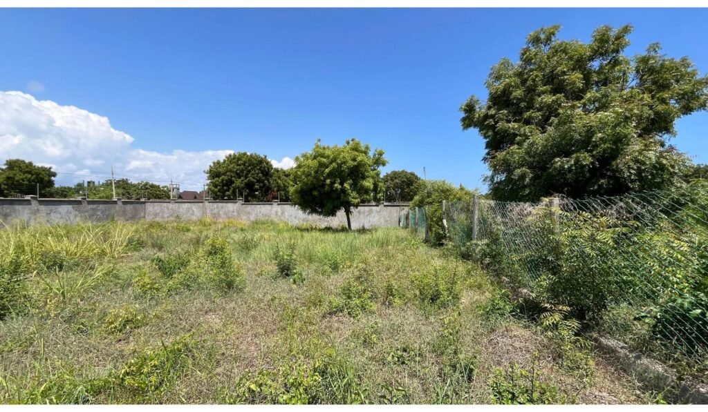 Imgi 24 709 891a8f8489c74b14a52eafcf2104f22d