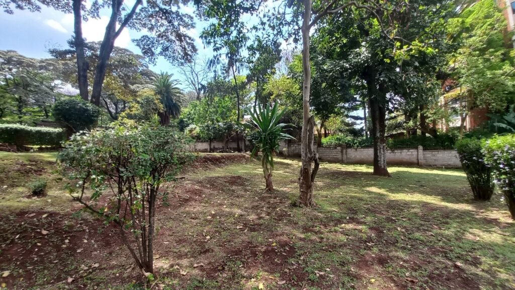 Imgi 25 709 5b4fc0f2a736473db57c30aa314dab7d