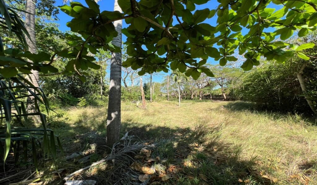 Imgi 27 709 1563f735a36c47ef8e0e1a9d325c1866