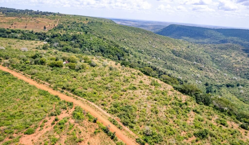 Imgi 27 709 2154bda1b8354609b90fbaca66bcaab2