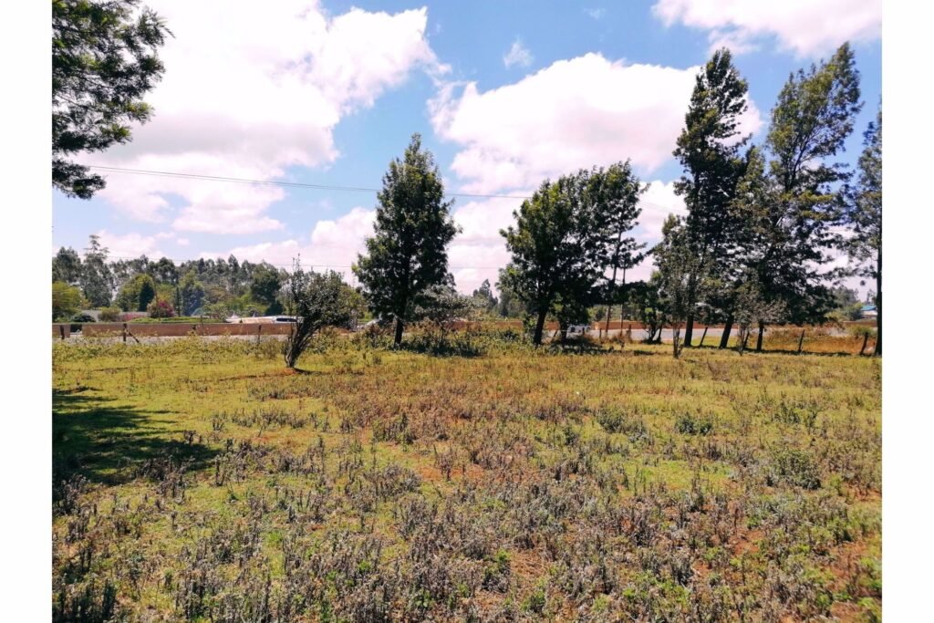 Imgi 27 709 80f46af648f042219157055ef93bb395