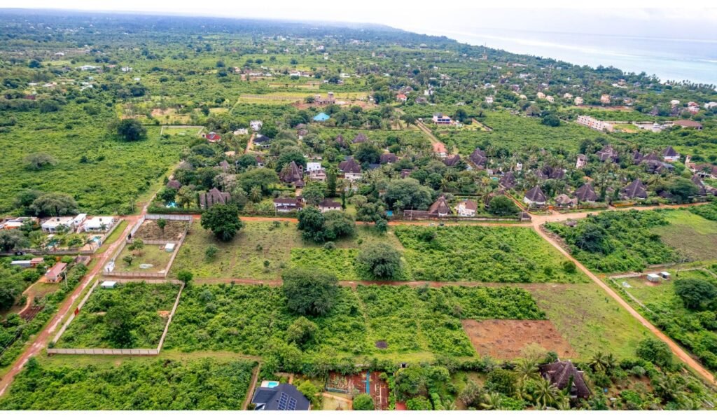 Imgi 27 709 966a7ea4255b42049476862caf38e2b5