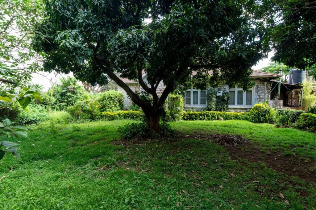 Imgi 28 709 34226b9fb80046d482abfb6c69fa6075