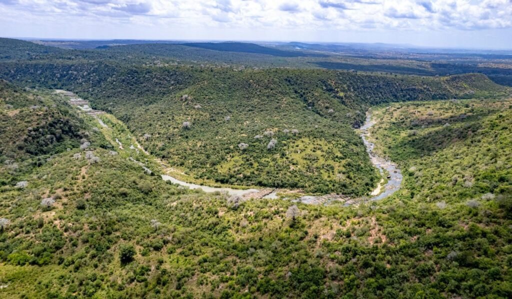 Imgi 28 709 6fb7f58fec5d4ec384762825d411b739