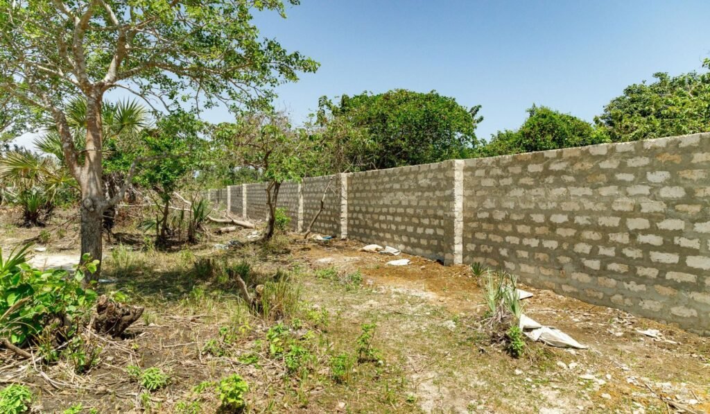 Imgi 28 709 97f17a0a4f0b4506aba9955b26ac68dc