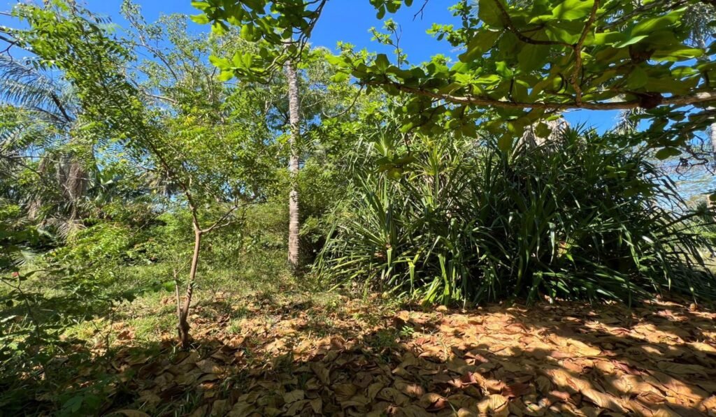 Imgi 28 709 a2d893e65b9c4a869e38e628f32cb633