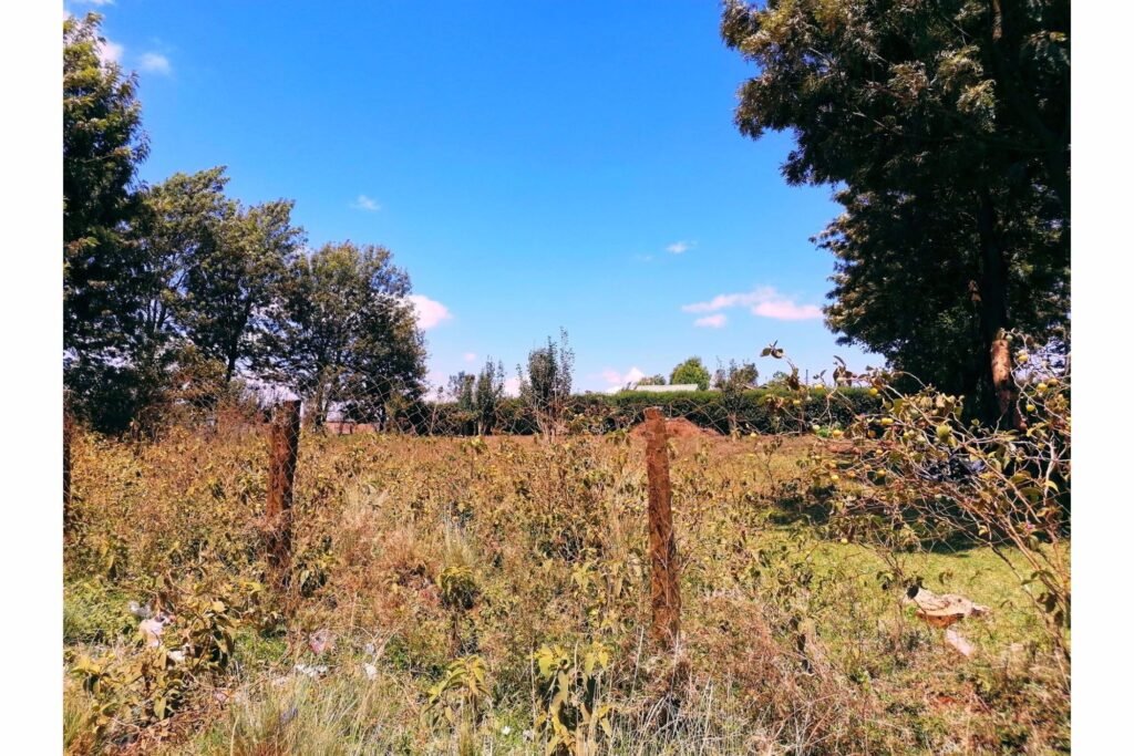 Imgi 28 709 a4c35fc913cf405285bb36a99782ff2c