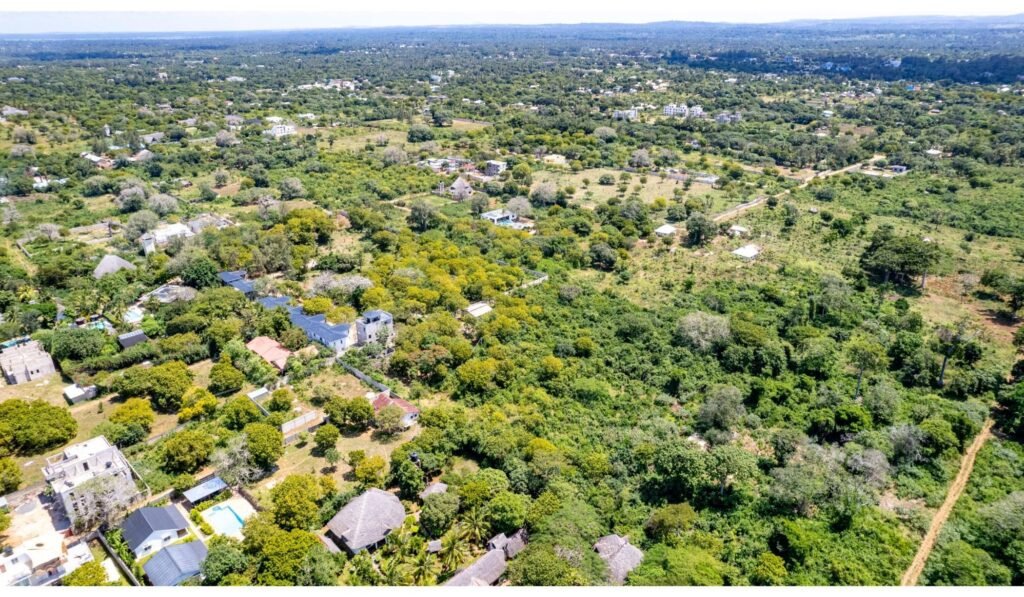 Imgi 29 709 009244b3fdc5423fb8bcb5c96331aa51