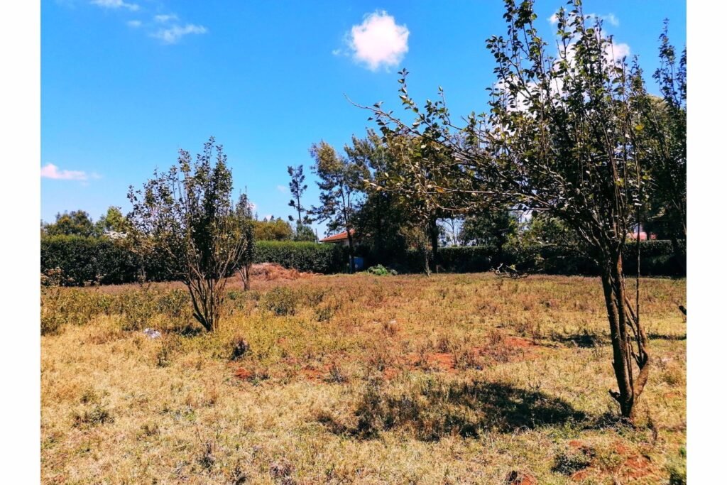 Imgi 29 709 72632638ad90418dad401a63606b3021