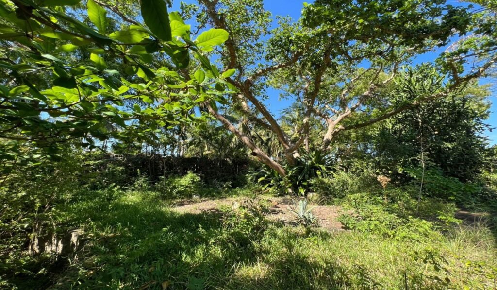 Imgi 29 709 b0435993ebdd4e1d831aa27e01f83144