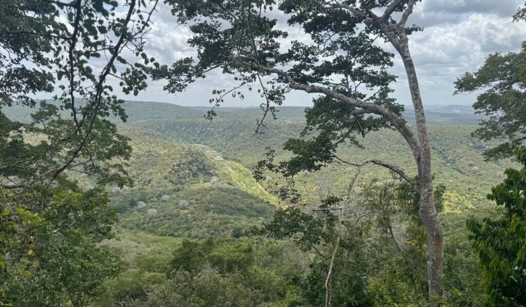 Imgi 29 709 beae9299350a4649ae55441844311033