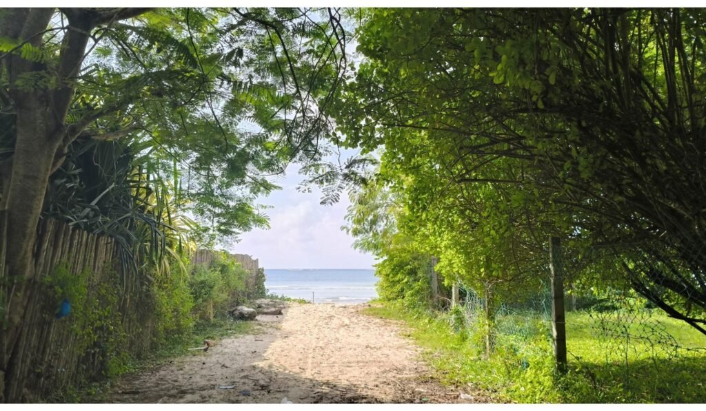 Imgi 29 709 cd360d259c85465a89042f4dfa8195f2