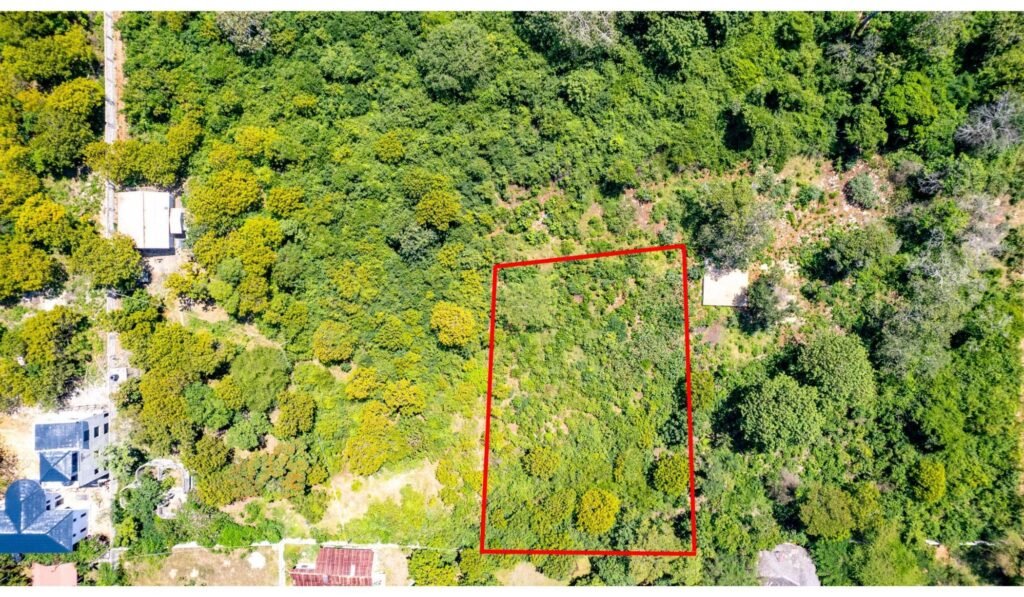 Imgi 30 709 3882267254864de684e47632bf0d5797