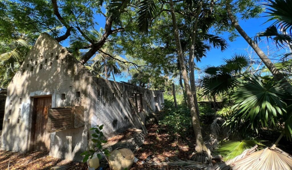 Imgi 30 709 d2dc48efba15483683b1d1870d9d3c0f